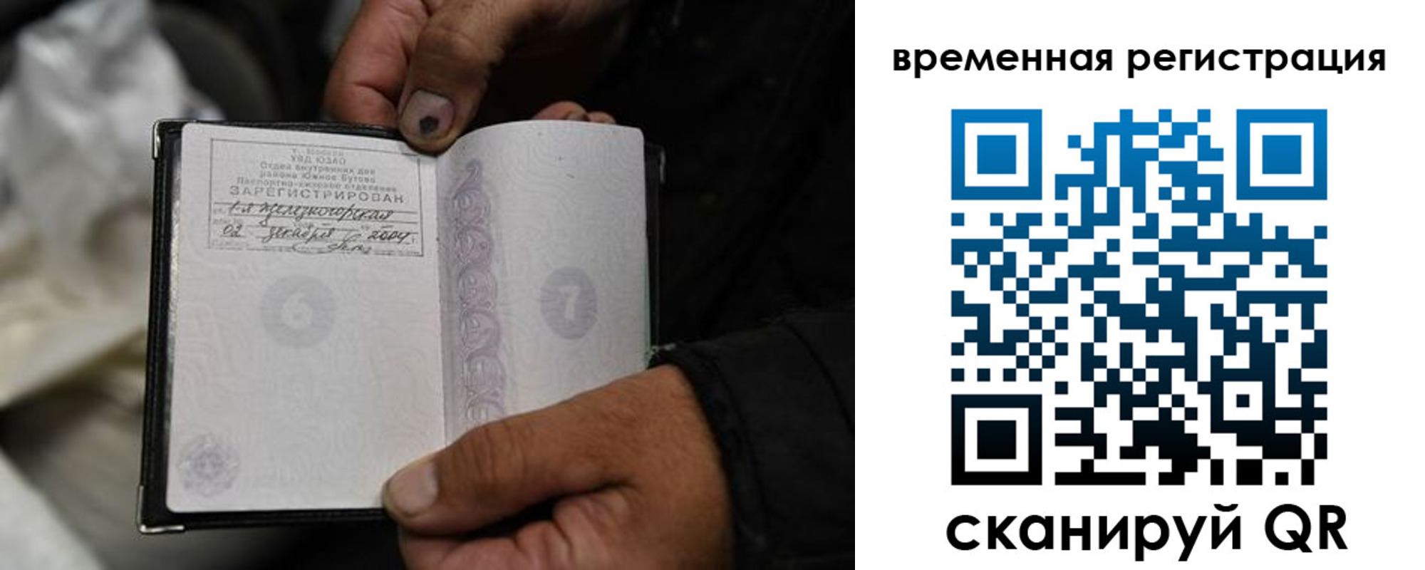 прописка поиск в Елизово